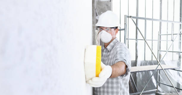 Best Residential Mold Inspection & Testing  in Chula Vista, CA